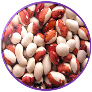 Kidney beans PNG-56901